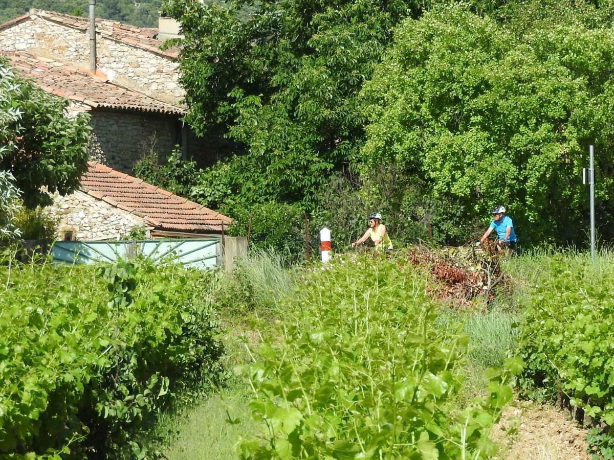 فيلا Les Petits Clements Villars  المظهر الخارجي الصورة