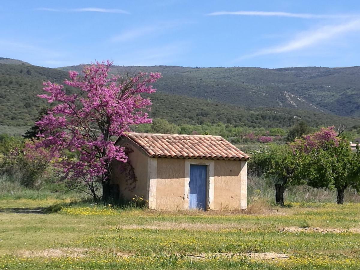 فيلا Les Petits Clements Villars  المظهر الخارجي الصورة